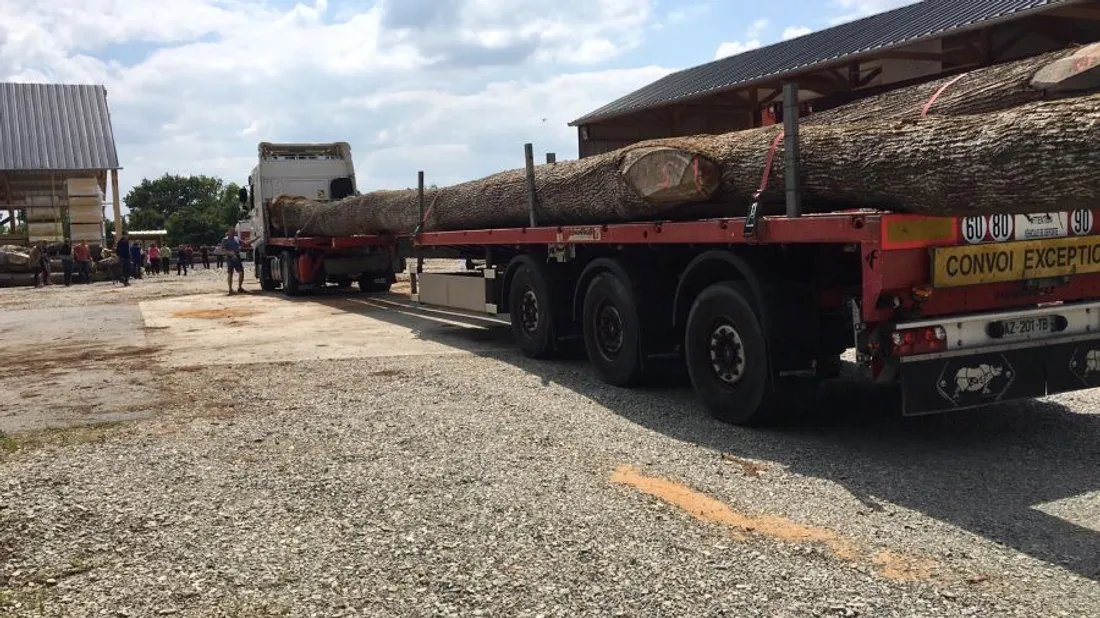 Arrivage tronc Scierie Craon_24 06 21_Scierie des Géants